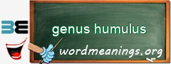 WordMeaning blackboard for genus humulus